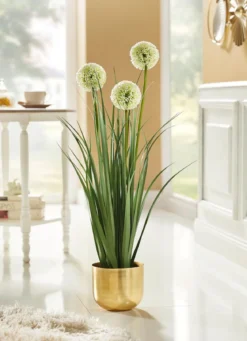 Allium-Gesteck im Topf