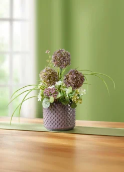 Allium-Gesteck im Topf