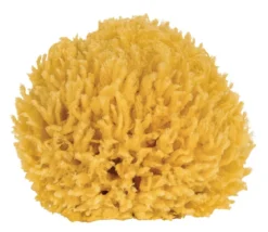 Badeschwamm aus natürlichem Material