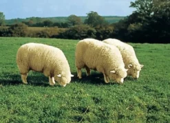 Bettumrandung aus echtem Lammfell in Tierform