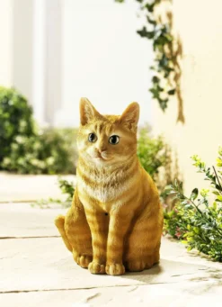 Bewegungsmelder Katze