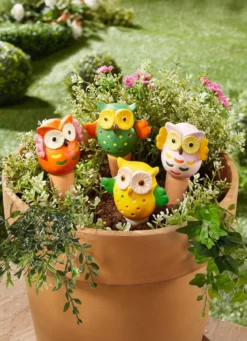 Bewässerungs-Eulen, 4er-Set