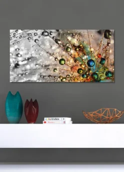 Bild Wassertropfen auf einer Pusteblume