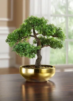 Bonsai in Keramikschale