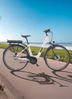 City-E-Bike RC836 von TELEFUNKEN