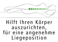 Dreamolino Swan Pillow Ganzkörperkissen