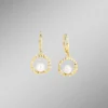 Exquisite Ohrringe