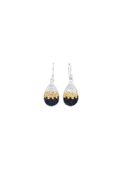 Funkelnde Ohrhaken mit Swarovski-Elements