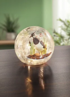 Glaskugel mit Beleuchtung