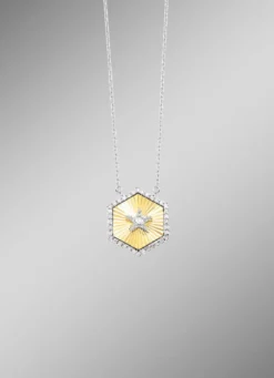 Halskette in Bicolor mit 1 Brillant und 36 Diamanten