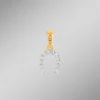 Hufeisen-Anhänger mit 10 Diamanten
