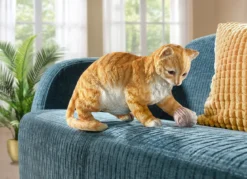 Katze mit Wollknäuel