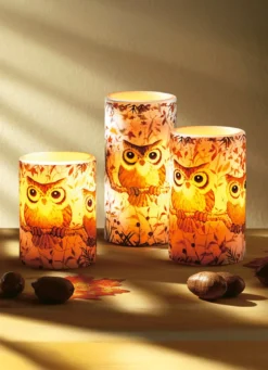 LED-Echtwachskerzen mit Eulenmotiv, 3er-Set