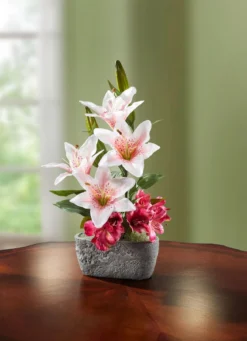 Lilien-Arrangement im Topf