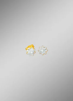 Ohrstecker mit Brillanten und Diamanten
