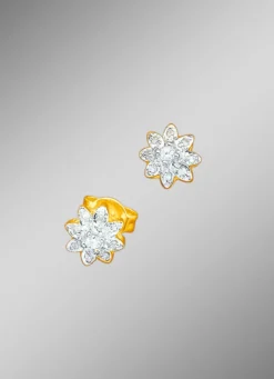 Ohrstecker mit Brillanten und Diamanten