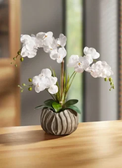 Orchidee in silberfarbenen Topf
