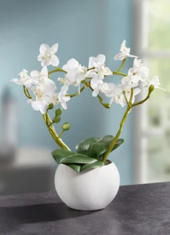 Orchideen-Gesteck im Keramiktopf