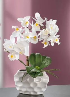 Orchideen-Gesteck in Keramikvase