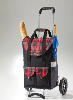 Profi-Einkaufsroller mit extragroßen Rädern