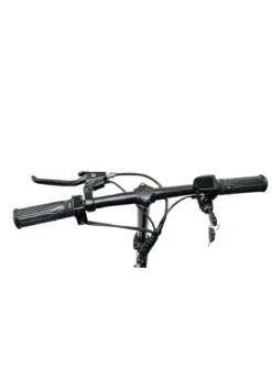 4-Rad-Roller