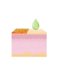 Ringelblumencreme,2er-Set