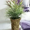 Schilfgras in Vase