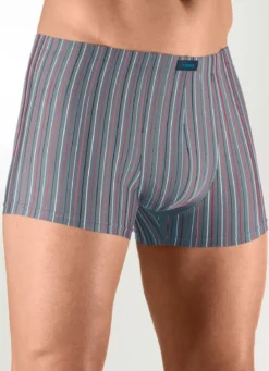 Sechserpack Pants aus Microfaser