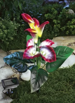 Solarleuchte Calla