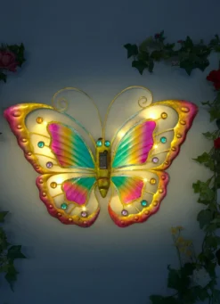 Solar-Schmetterling