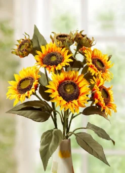 Sonnenblumenzweig