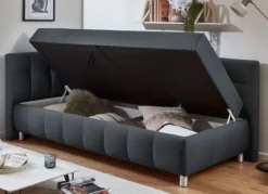 Studioliege mit Kissen und Bettkasten