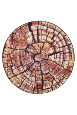 Teppich im naturnahen Baumstamm-Design