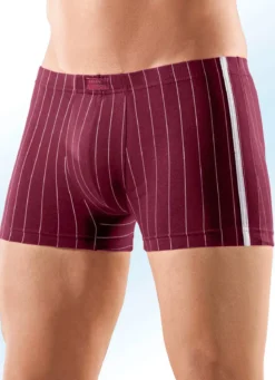 Viererpack Pants, gestreift