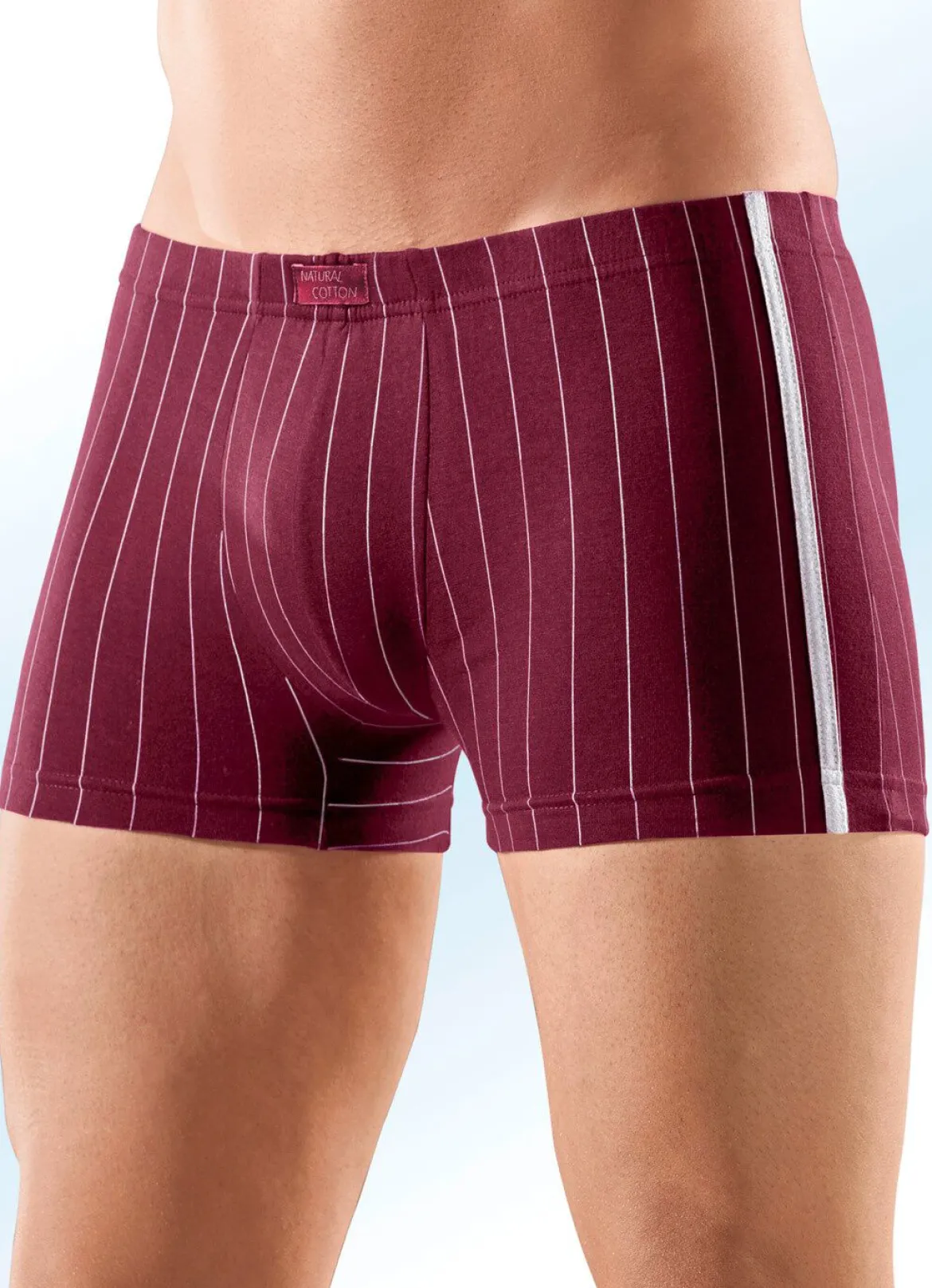 Viererpack Pants, gestreift