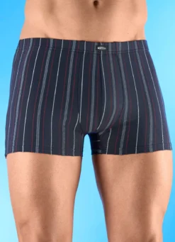 Viererpack Pants mit Streifendessin