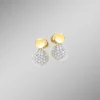 Wundervolle Ohrstecker mit 70 Diamanten