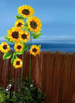XXL-Solar-Sonnenblumen